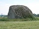 Ellandvahe-Stein