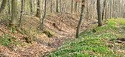 Äußerer frühgeschichtlicher Ringwall der Elmsburg