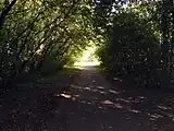 Zwischen Kleindalzig und Zitzschen