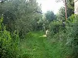 Radweg bei Leubetha (Vogtland), von Adorf kommend