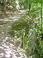 Ungeschützter Elster-Radweg vor Wünschendorf unterhalb des „Weibersteins“ am rechten Ufer der Elster.