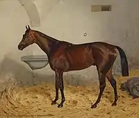 Mettalist, Sieger der Nemzeti dij (Ungarische 2,000 Guineas) von 1884