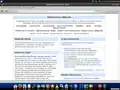 Der Kiwix offline wiki Leser