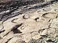 Dinosaurier-Spuren im Gestein nahe Plagne