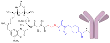Struktur von Trastuzumab-Emtansin