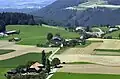 Englisberg, Luftaufnahme, westliche Blickrichtung mit Gurten im Hintergrund