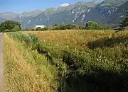 Entenbächli, Verbindung von der Jägglisglunte zum Brienzersee