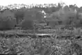 Entschlammung des Vorderen Russee im Oktober 1975