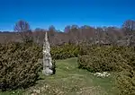 Menhir im Baskenland