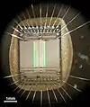 256-KiBit-EPROM in Nahaufnahme mit Bonddrähten.