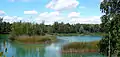 Natursee