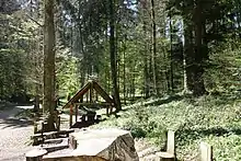 Erholung im Wald
