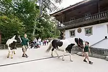 Zwei Tierpfleger führen jeweils ein Pferd am Bauernhof vorbei.