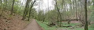 Erlenbachtal bei Wiesbaden-Frauenstein, Naturschutzgebiet Sommerberg bei Frauenstein