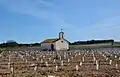 Rochuskapelle