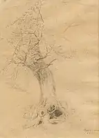 Baumstudie aus dem Priesnitz-Grund bei Dresden, Bleistiftzeichnung, 1844