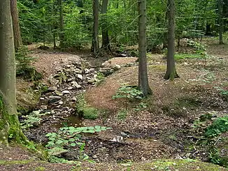 Der Heuchelbach hinter dem „Hirschgarten“