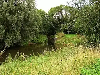 Mündung in die Nidda bei Frankfurt-Harheim