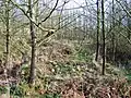 Blick Richtung Osten:vorne Raum H, im Hintergrund Raum I, dazwischen Raum E