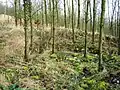 Blick in den Raum H Richtung Norden