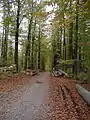 Blick auf den Eselsweg in der Nähe des Echterspfahls