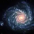 Arp 41 (NGC 1232)