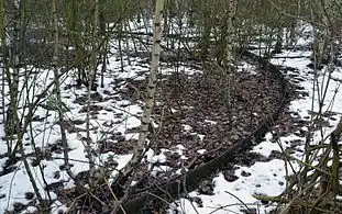Drehscheibenbereich des ehem. Ringlokschuppens