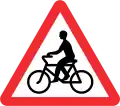 Fahrräder auf der Fahrbahn