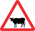 Tiere