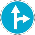 Vorgeschriebene Fahrtrichtung - geradeaus oder rechts