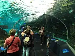 Unterwassertunnel