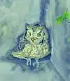 Die Eule, Symbol der Insel