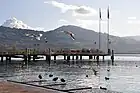 2011