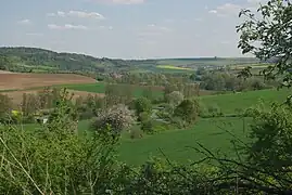 Zwischen Schönarts und Eußenheim
