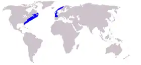 Verbreitung des Atlantischen Nordkapers