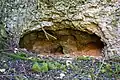 Die obere Höhle
