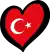 ESC-Logo der Türkei