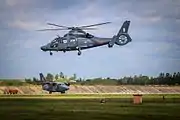 Flugzeug der litauischen Luftstreitkräfte mit dem Doppelkreuz der Jagiellonen im Jahr 2016