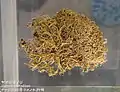 Evernia esorediosa
