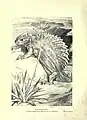 „Edasophaurus“ in Robert Henry Knipe, Evolution in the past, 1912.