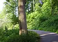 Exotenwald in Weinheim