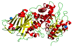 Exotoxin A (Pseudomonas aeruginosa)