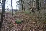 Großsteingrab Eyendorf 2