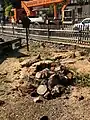Ehemaliger Standort der Hammerlinde