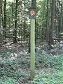 Der Fünf-Wunden-Weg (2. Station)