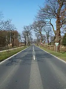 Fürstenallee mit jungen und alten Eichen