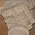 Chorapsis, Kapitell