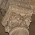 Chorapsis, Kapitell