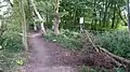Trampelpfad im FFH-Gebiet am Westrand des Standortübungsplatzes