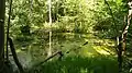 Teich im Westen des Fehrenholzes